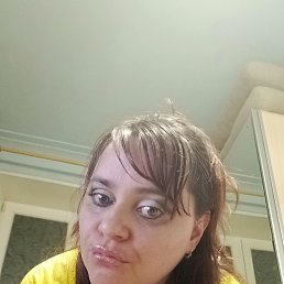 ���� �����, ���������, 41 ��� - ��������� 12 ������� 2026