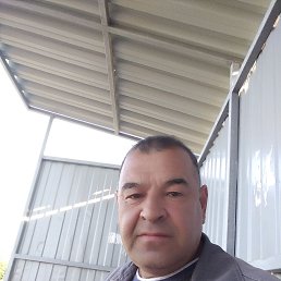 , 55 , 
