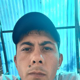 , 31, 