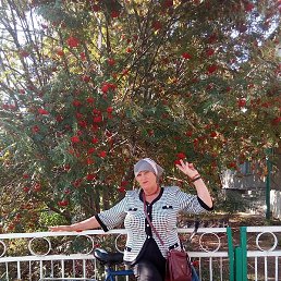 ������, ���������