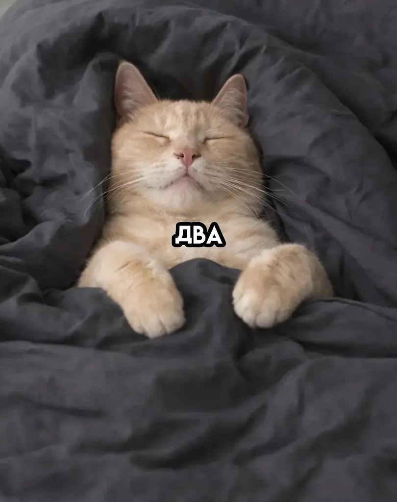 �� - 3