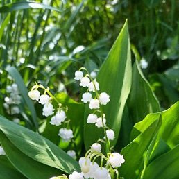 ���� ����, �����-��������� - ��������� 24 ������� 2026