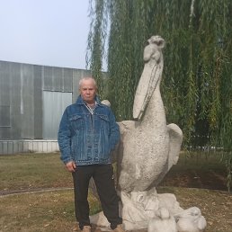 , 53, 