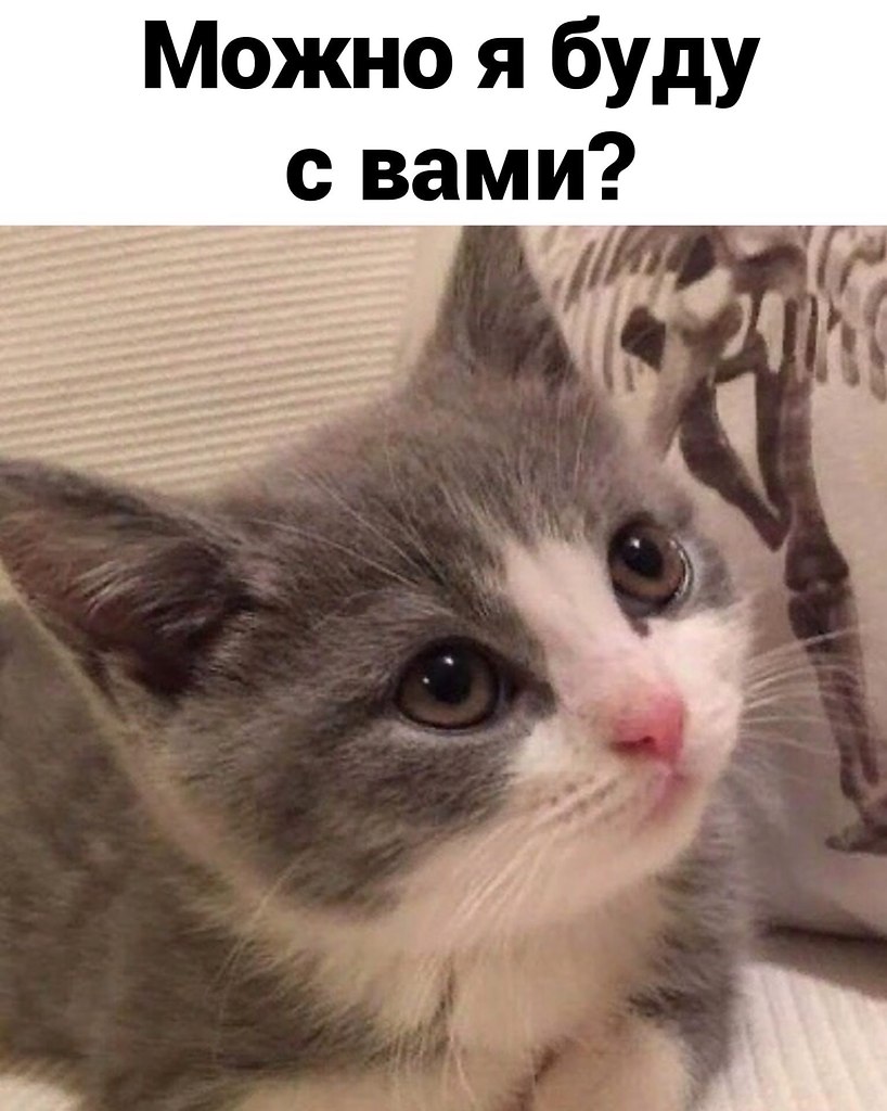 ��� ���� � ����� �� �� - 29 ������ 2026 � 12:25 - 3