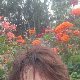 ���� �����, ������, 58 ��� - ��������� 28 ������� 2025