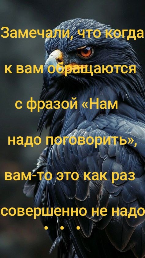   - 16  2024  04:26