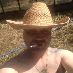 , 43, 