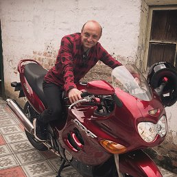 , 42, 