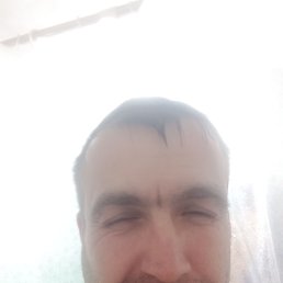 , 41, 