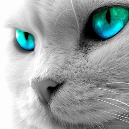 ���� �����, ����������, 45 ��� - ��������� 17 ��� 2026