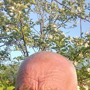 , 60 , 