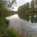 ���� ����, ��������, 62 ���� - ��������� 27 ������� 2023 � ������ ���� ����������