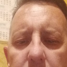 , 41, 