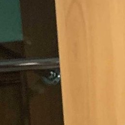 ��������, ������������, 21 ���