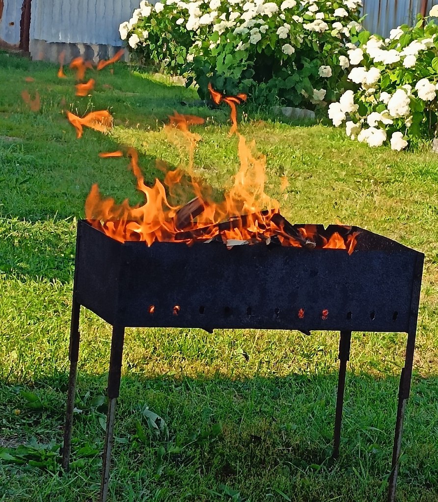   - 5  2025  16:31