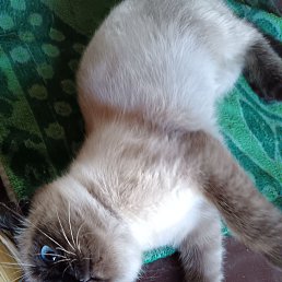 ���� �������, ���������, 25 ��� - ��������� 27 ������ 2026