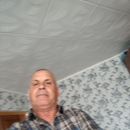 , 54, -