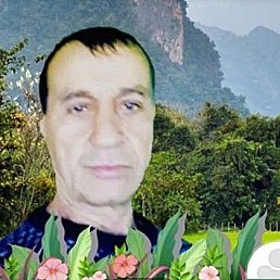, 59, 