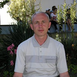 ���� �������, ���������, 55 ��� - ��������� 12 ����� 2026