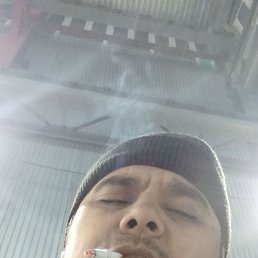, 33, 