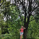 ���� �������, ������, 51 ��� - ��������� 28 ������� 2025 � ������ ���� ����������