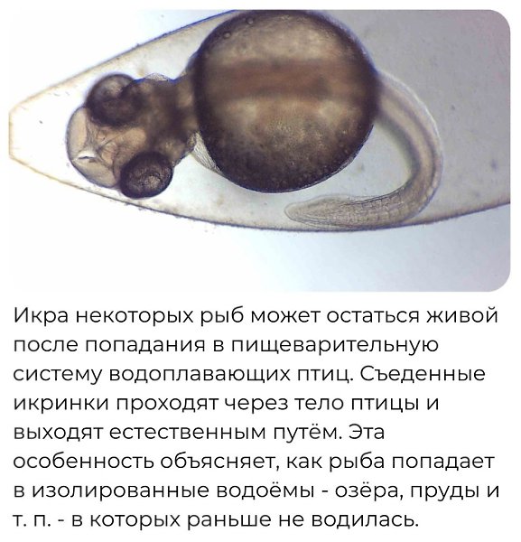 Discovery - 18 ������ 2025 � 23:12