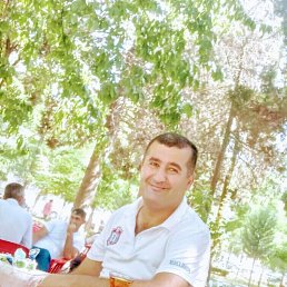 ����, 48 ���, ���������