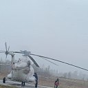 ���� ������, �����, 54 ���� - ��������� 17 ���� 2026
