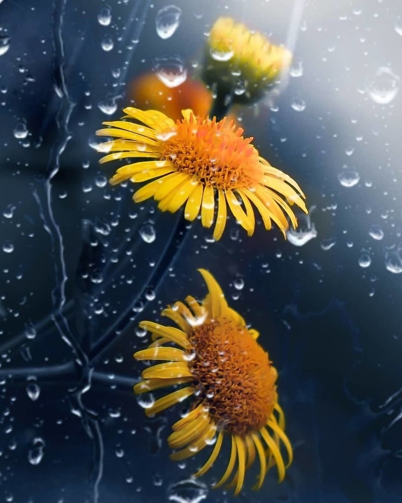 ��������� �� ����� � ������ ������ ���� �� ������������. � ������ ������� - 5