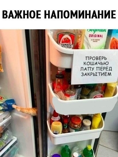 Знакомая ситуация всем у кого есть питомцы