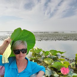 ���� �����, ���, 55 ��� - ��������� 24 ��� 2025