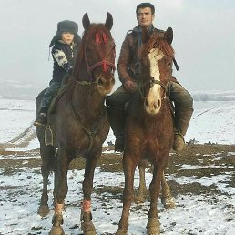 ������, �������, 37 ���