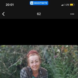 ���, 37 ���, ��������