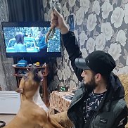 ����, 27 ���, ��������