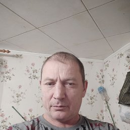 , 51, 