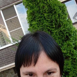 ���� �����, ���������, 49 ��� - ��������� 25 ������ 2026