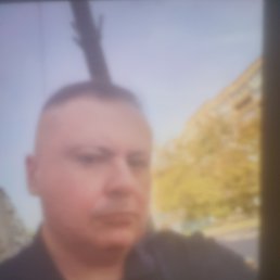 , 36, 