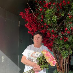 , 51, 