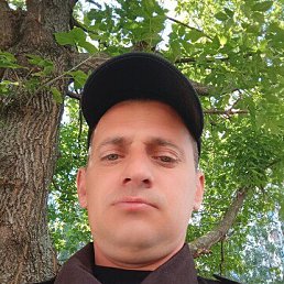 ���� ���������, ������, 42 ���� - ��������� 28 ����� 2026