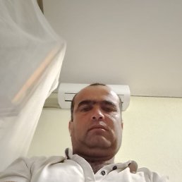 , 41, 