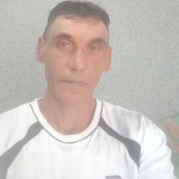 �����, 49 ���, ���������