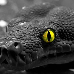 ���� Vlad, �������, 37 ��� - ��������� 24 ������ 2024