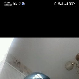 �������, 41 ���, �����