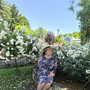 ���� ����, ����������, 50 ��� - ��������� 10 ������ 2026 � ������ ���� ����������