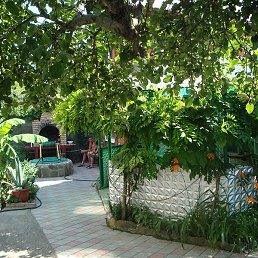 �����, �����������, 59 ���