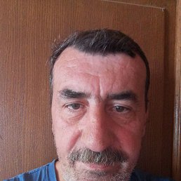, 56 , 