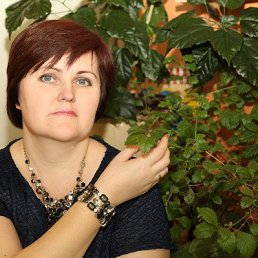 , 50, 