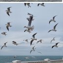 ���� �������, �����-���������, 78 ��� - ��������� 28 ������� 2023 � ������ ���� ����������