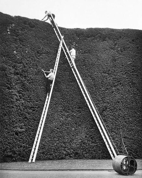 ��������� ����������� ����� ������� ������� ����� ����� � ����. ������� � 1720 ���� ������ ������ ...