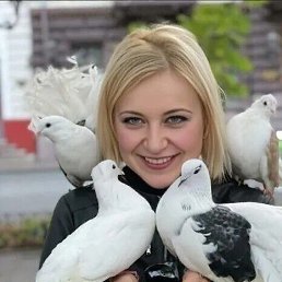 ����, 37 ���, ������